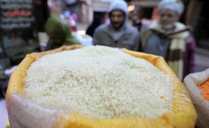 وزارة الزراعة الأمريكية: إنتاج مصر من الأرز هينخفض بنسبة 23%