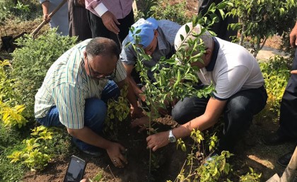 محافظة الجيزة هتزرع  مليون شجرة مثمرة في الشوارع والميادين