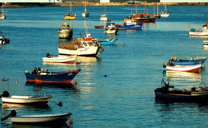 500 مركب هتبحر للصيد في وقت واحد لأول مرة في مصر