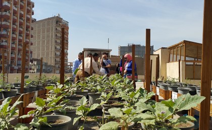 وزيرة البيئة أطلقت مشروع "زراعة الأسطح" بالتعاون مع مبادرة شجرها
