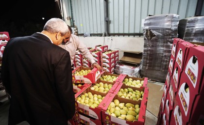 السعودية رفعت الحظر عن استيراد الجوافة المصرية