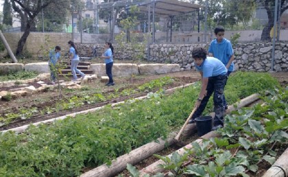 وزارة التعليم هتعمل مسابقة "أجمل حديقة مدرسية" لأول مرة