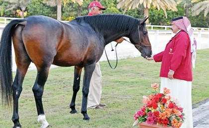 ملكة بريطانيا تهدي ملك البحرين "حصان" من أصل بحريني